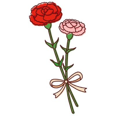 赤とピンクのカーネーション（リボン付き）のイラスト