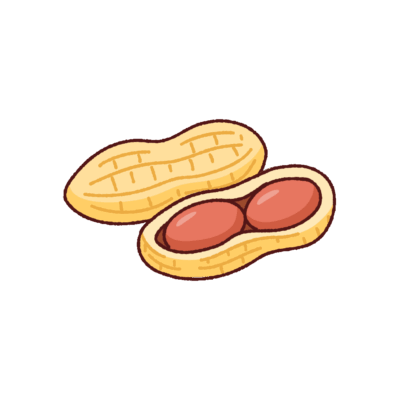 落花生のイラスト