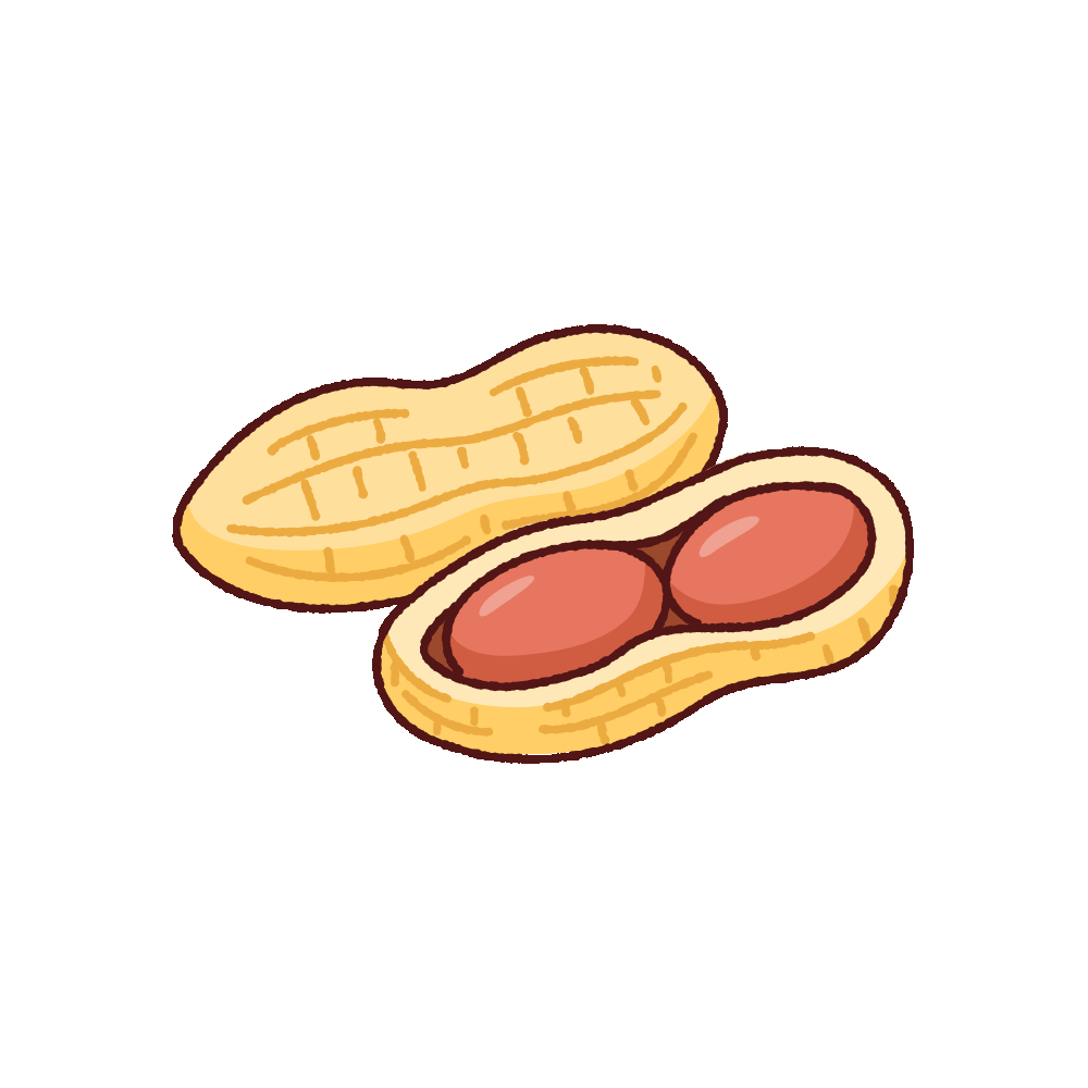 落花生のイラスト