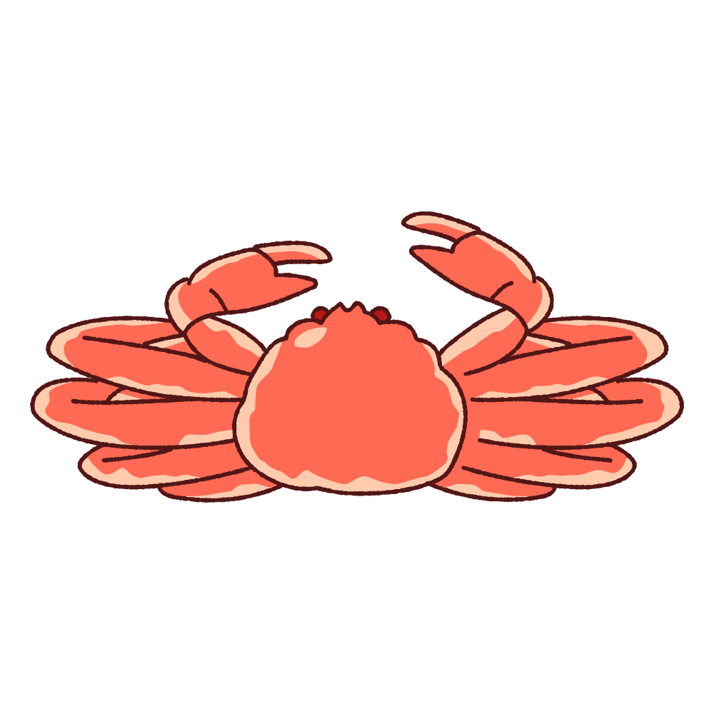 ズワイガニのイラスト
