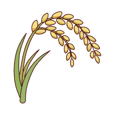 稲穂のイラスト