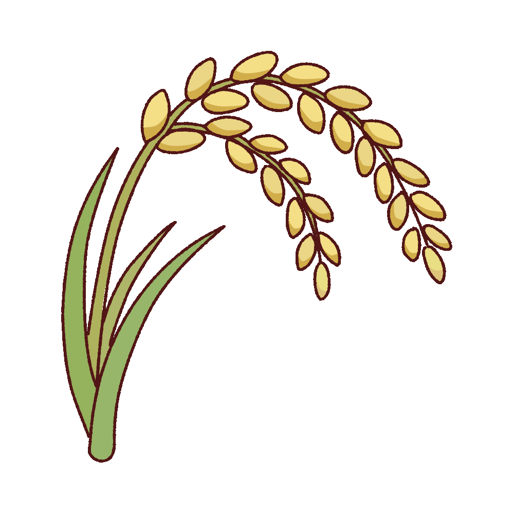 稲穂のイラスト
