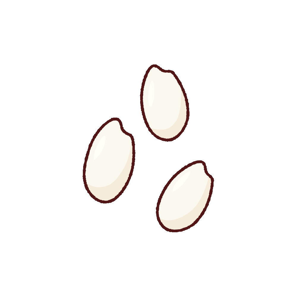 米粒のイラスト